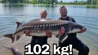 102 kg JESIOTR - UJAWINIAMY Gdzie i na co go ZŁOWIONO