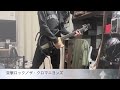 ザ・クロマニヨンズ／突撃ロック 【gt.弾】