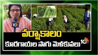 Vegetable Farming in Rainy Season | వర్షాకాలం కూరగాయల సాగు మెళకువలు | Matti Manishi | 10TV