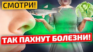 Всего ТРИ ЗАПАХА, которые игнорируют люди! +Бонус! Так пахнут болезни!