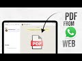How to Open PDF from WhatsApp Web on iPad (tutorial)