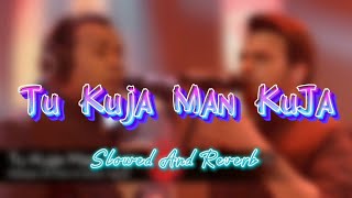 Tu Kuja Man KuJa (Slowed And Reverb) | Shiraz Uppal & Rafaqat Ali Khan |  Slowed & Reverb Song Lover