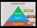 plato plato s tripartite theory of the soul plato s theories philosophy 2020