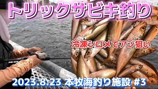 【6種目GET】おかずを釣りに本牧海釣り施設へ