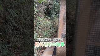 陸自迷彩の効果