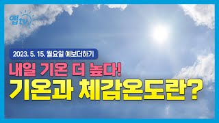 [날씨더하기] 헉... 내일 기온이 더 높다고? 기온과 체감온도란?