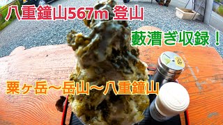 【静岡県登山】八重鐘山567m  粟ヶ岳〜岳山〜八重鐘山〜周回コース！ 藪漕ぎあり！