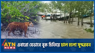 এবারো যেভাবে ঘূর্ণিঝড়ে বুক চিতিয়ে ঢাল হলো সুন্দরবন | Sundarbans | Super Cyclone Remal | ATN News