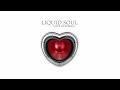 liquid soul global illumination