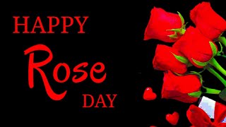 Happy Rose Day || Valentine's Day Status Quotes || Whatsapp Status Quotes || Spread Positivity