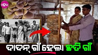 Mushroom Farming in Nuapada: ବଦଲିଗଲା ନୂଆପଡା ଜିଲ୍ଲାର ଇ ଗାଁର ଭାଗ୍ୟ...ଥିଲା ଦାଦନ୍ ଗାଁ, ହେଲା ଛତି ଗାଁ