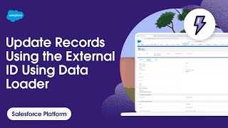 How to Update Records Using the External ID Using Data Loader | Salesforce Platform