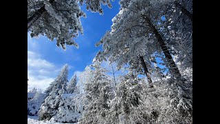 Zlatibor - Savršen zimski dan