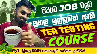 Best Tea Testing Courses in Sri Lanka.After A/L Courses in Sri Lanka 2024.Best Course