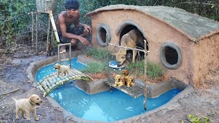 Rescue Abandoned Puppies Building Mud House Dog and Fish Pond Around house