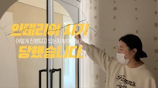 [로즈애플 tv] ep2. 인테리어 사기 당했습니다