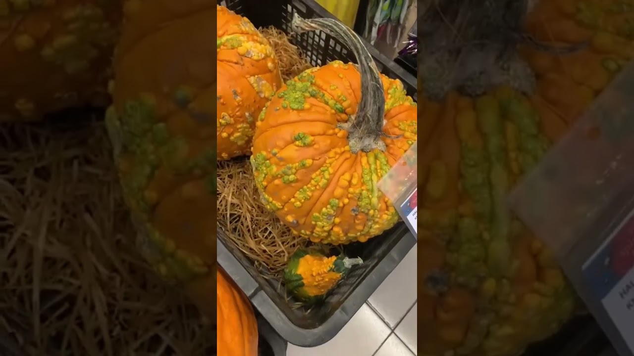 Halloween Pumpkin Youtube