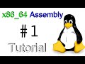 x86_64 Linux Assembly #1 - 