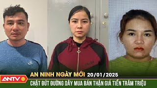 Chặt đứt đường dây mua bán thận giá tiền trăm triệu