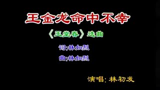 Teochew Karaoke 潮剧选段《王金龙命中不幸》music only