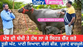 ਪਸ਼ੂਆਂ ਦੀ ਸਿਹਤ ਦੇ ਤਰੀਕੇ ਜਾਣੋਂ। Identification of  animal Health in dairyfarming