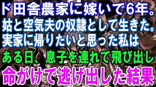 【修羅場】ド田舎農家に嫁いで6年。姑と空気夫の奴隷として生きた。実家に帰りたいと思った私はある日、息子を連れて飛び出し命がけで逃げ出した結果