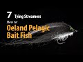 How to • Fly tying Streamers • Oeland Pelagic Bait Fish • fishing tips