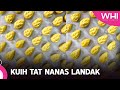 Kuih Tat Nanas Landak | WHI (8 April 2023)