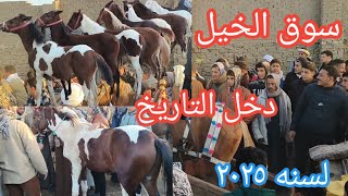 سوق الخيل🐎 دخل التاريخ خلاص لسنه 2025 وادي👈الخيل الفلسطيني بنتزل علي القناه بتشكيله كبيره قبل السوق💪