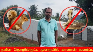 நவீன தொழில்நுட்ப முறையில் காளான் வளர்ப்பு | #polyestershed #mrmanpulu #mushroomfarming