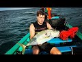 Thailand Spearfishing - Golden Trevalley, Coral Trout, Grouper & Goatfish