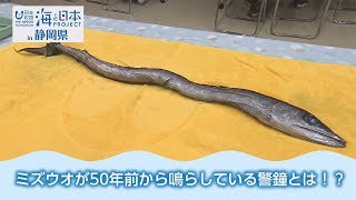 深海魚ミズウオが50年前から鳴らしている警鐘とは！？ 日本財団 海と日本PROJECT in 静岡県 2018 #24