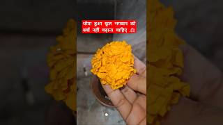 धोया हुआ फूल भगवान को क्यों नहीं चढ़ाना चाहिए #viralvideo #shortsvideo #shiv #yts #trendingreels