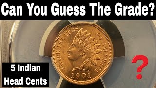 Graded Indian Head Cents - Can You Guess the Grades?