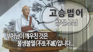 고승법어 성철스님 제77회... 부처님이 깨우친 것은 불생불멸(不生不滅)입니다...