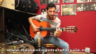 Agujetas Chico in Solera Flamenca (guitar: Pedro de Miguel 2005)