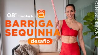 DESAFIO da barriga sequinha - 8 minutos em casa com um cabo de vassoura - Carol Borba