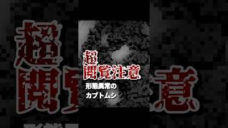 【衝撃】とんでもないカブトムシの幼虫が孵化しました