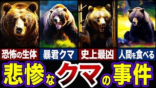 【閲覧注意】熊の生体が凄すぎる…クマが起こした悲惨な事件5選!!【ゆっくり解説】