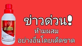 ข่าวด่วนยางพาราสำหรับการบำรุงฅนขี่ม้าพาราไวท์ช่วงปิดกรีดหรือกรีดต่อห้ามทำแบบนี้เด็ดขาด #หนุ่มทองแดง