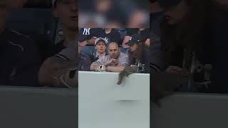 The squirrel just wanted a good view for the Yankees game 😂🐿 | New York Post Sports #shorts