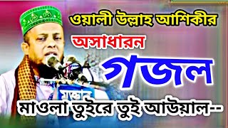 মাওলা তুইরে তুই। ওয়ালী উল্লাহ আশিকীর অসাধারন একটি গজল।