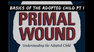 The Primal Wound. Do Babies Remember Trauma? Basics Of Adoption Pt 1