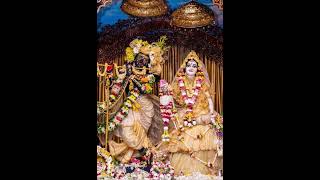 Radhe Krishna ❤️ ❤️ ❤️ ❤️ ❤️@krishnpremi677