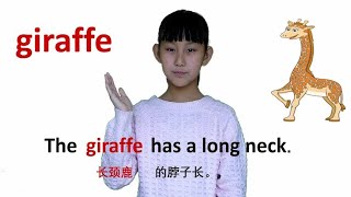 动物篇giraffe长颈鹿 牛津初高中小学少儿童英语单词和例句子常荣