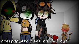 creepypasta meet an UwU cat//Gc warning:+16