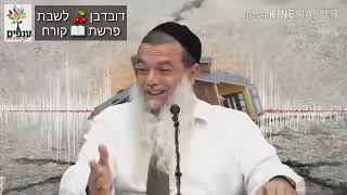 פרשת קורח | הרב יגאל כהן