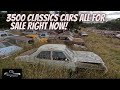 3500 Classic Cars all for sale right now , Australian wrecking yard walk , Amazing collection