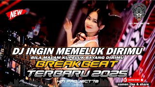 DJ INGIN MEMELUK DIRIMU BREAKBEAT REMIX  DJ BILA MALAM KUPELUK BAYANG DIRIMU INDO GALAU TERBARU 2025