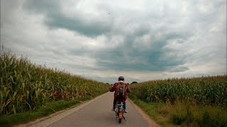 Veluwe roadtrip on a vintage Puch